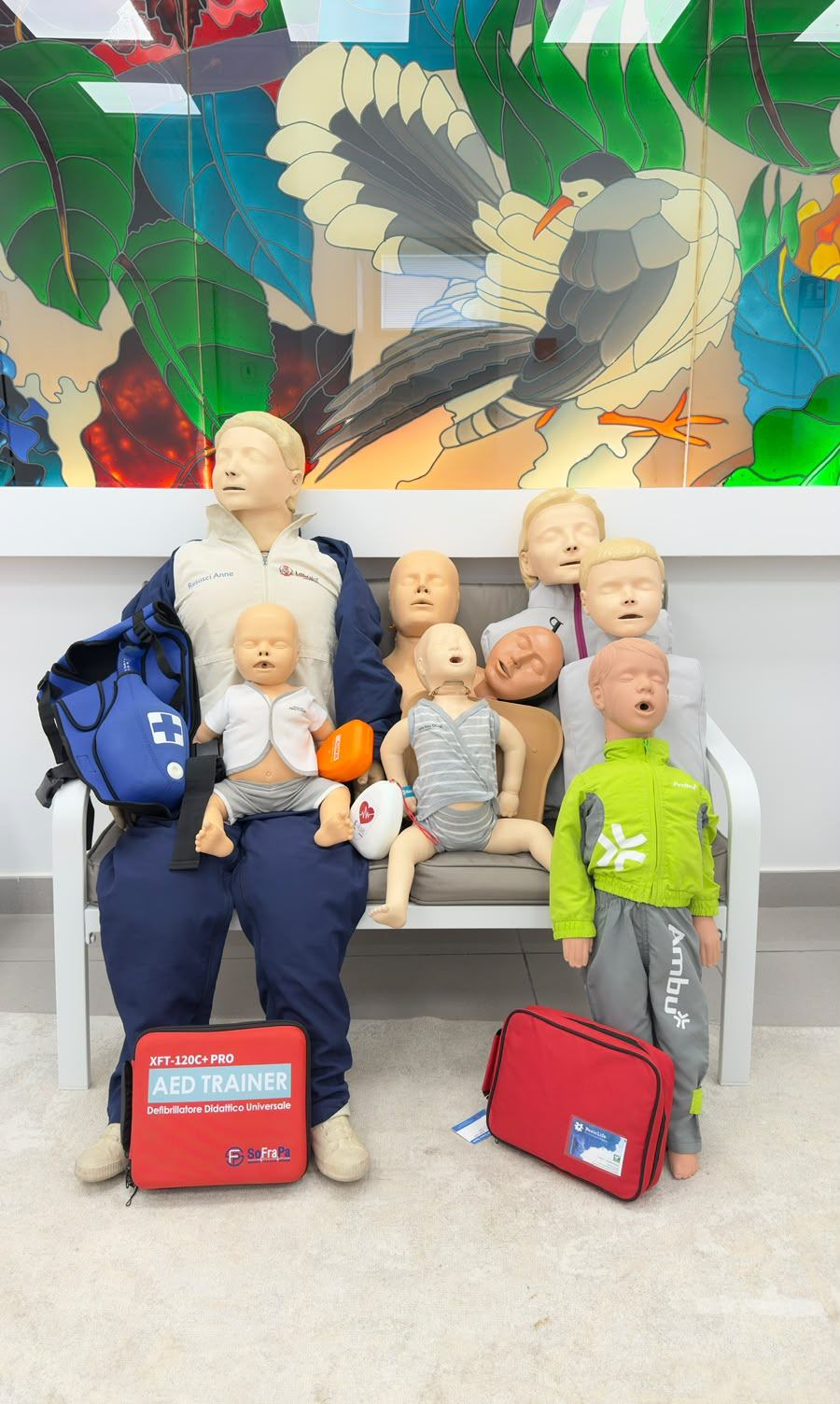Manichini professionali e defibrillatore didattico AED trainer
